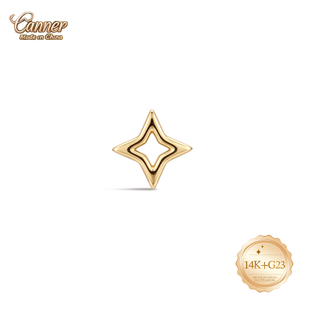 Body Jewelry Hypoallergenic - CANNER Boucles d'oreilles clous étoile creuse