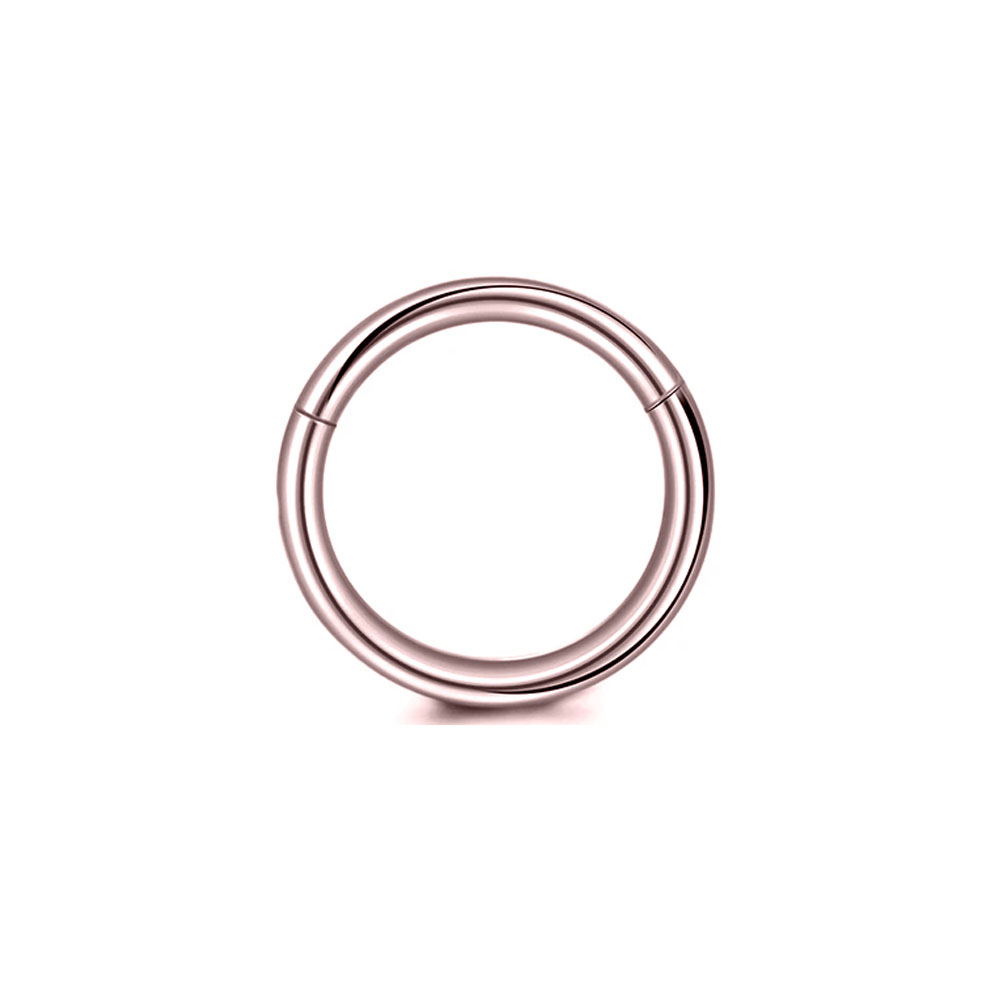 Anneaux de nez en acier chirur - Conch Earring Hoop avis et prix